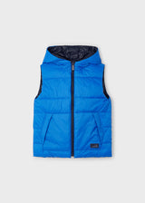 Black & Blue Reversible Vest