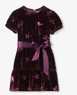 Pink Star Sequin Velvet Dress