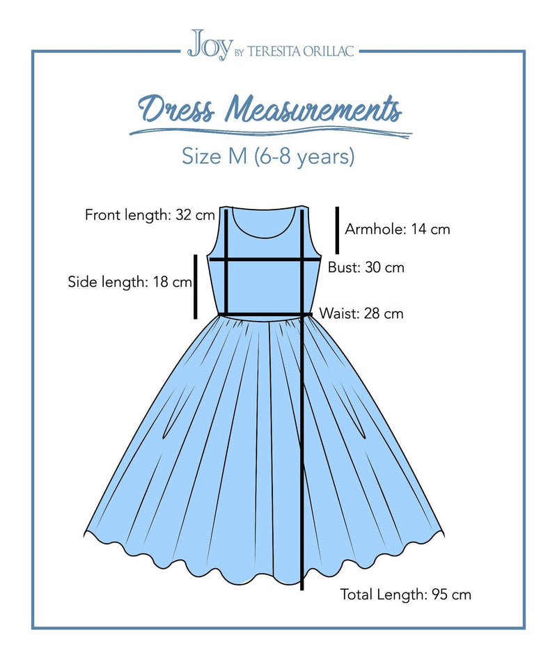 Princess Cinderella Blue Costume Dress